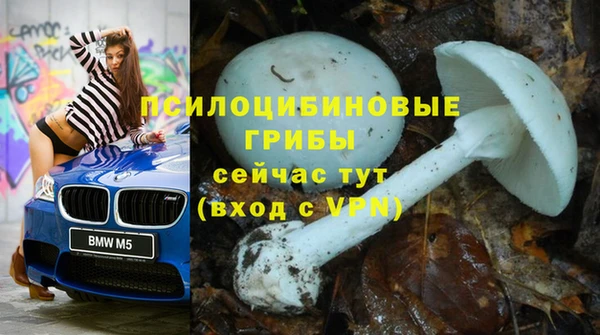 ешки Абдулино