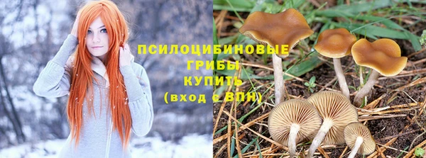 метадон Алзамай
